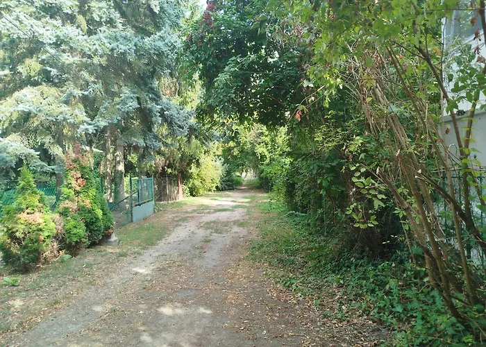 Sellő Apartman *