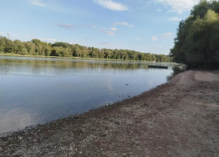 Sellő * Szentendre